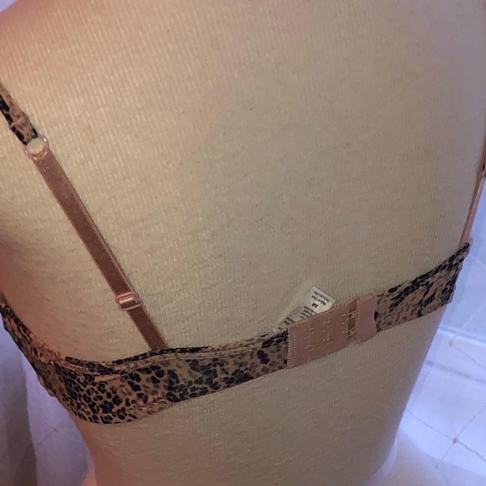 Bra 36B - Picture 5 of 5